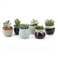 

2.5 Inch Flowing Glaze Succulent Planters Cactus Flower Plant Pot/Container Mini Ceramic Succulent Pot