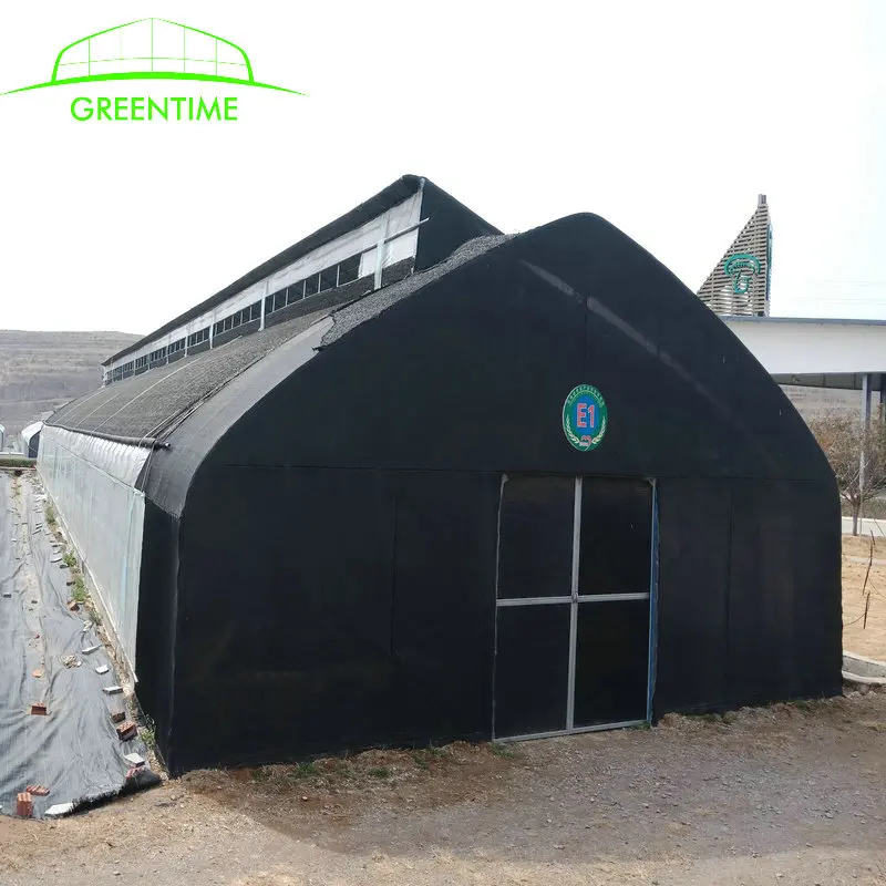 
Agricultural Mushroom Green House For Sale 