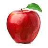 first class hotsales huaniu apple market prices