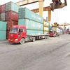 Professional international freight forwarder courier express via DHL, TNT, UPS,FEDEX