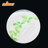 Redispersible Polymer Powder/RDP-Acrylic Polymer for Waterproofing