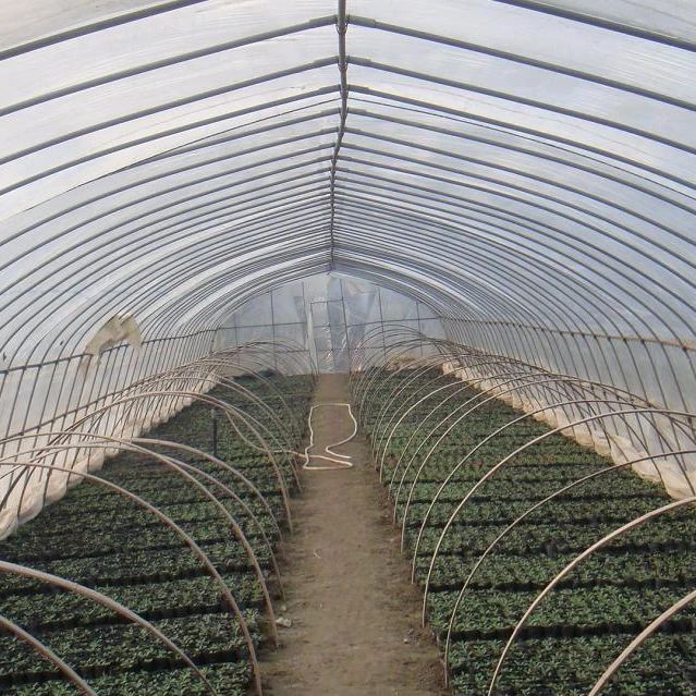 
2019 commercial plastic single span greenhouse tunnel used for agricultural 
