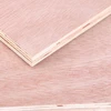 BB/BC grade okoume face veneer 20mm plywood for furniture construction