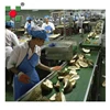 IQF Freezing Process and IQF Fruit Tunnel Freezer Frozen Fruit Vegetable processing line