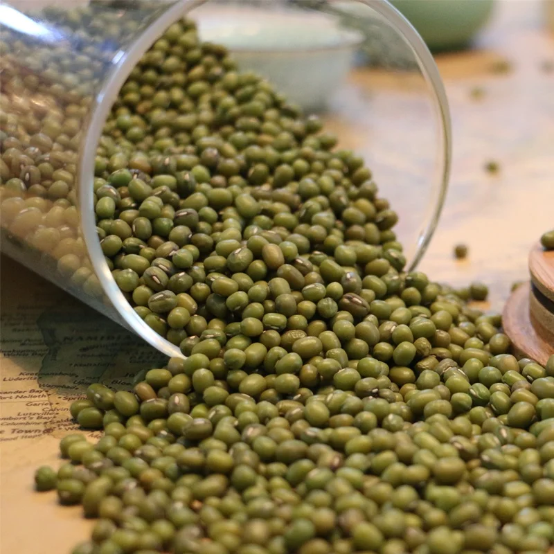 
Prime High Quality Green Mung Beans for Sprouting 