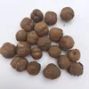 2019 Latest rare tree seeds teak seed for growing
