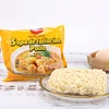 Instant noodles ramen seasoning pack artificial chicken flavor