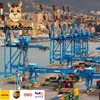 Cheap Air Shipping Logistic Rate China Cargo Ship to London--Wechat: 13429815596