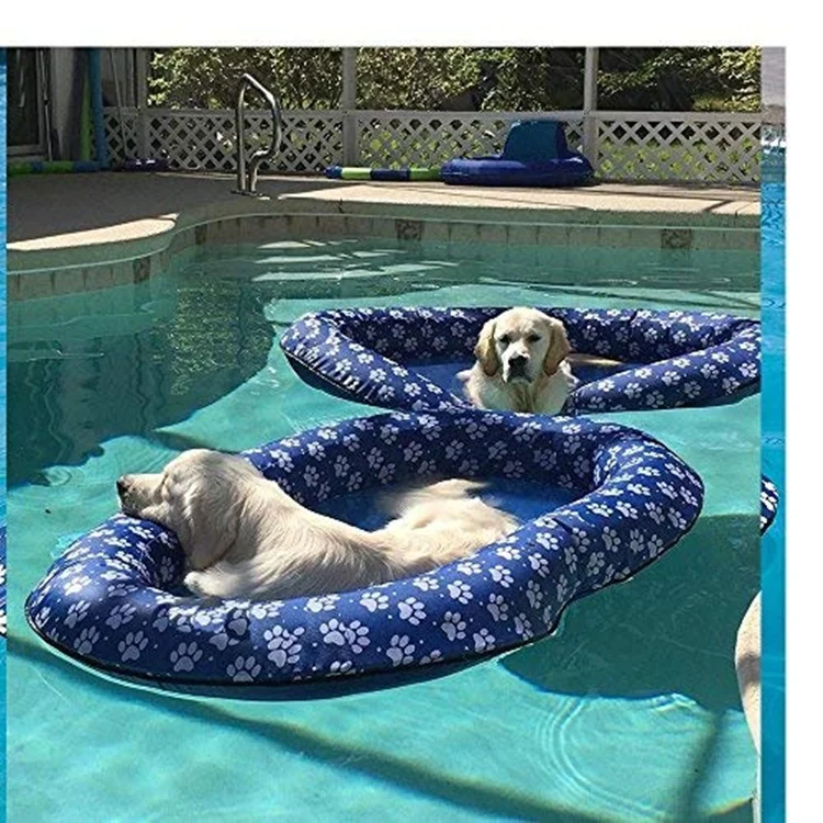 inflatable dog pool float