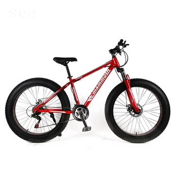 best inexpensive fat tire bike