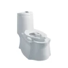 Foshan public cera chinese toilet for hotel for home use two functions toilet bowl