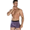 wholesale New Mens Ice Silk Mesh Sexy Breathable modal Boxer Briefs Mens Underwear