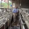 High Efficiency Lead Zinc Separation Equipment Gold Wash Plant Laboratory Flotation Machine for Sale