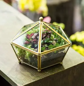 Image of Vintage decorative jewelry transparent glass and brass tone air plant seeder metal tilt top swing cover flower pot