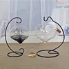 Hanging Teardrop Shaped Curved Glass Vase With Rope Decoration For Planter