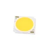 160-170LM/W Pure White 30W 2700K 3000K COB LEDs Array with RoHS Certification
