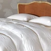 2019 Hypoallergenic Unique High Quality Down Alternative Comforter for house and hotel