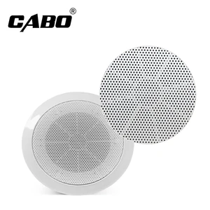 Home Theatre Ceiling Speaker Surround Sound
