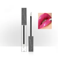 

Wholesale clear lipgloss plump your lip best selling lip plumper moisturizing lip gloss