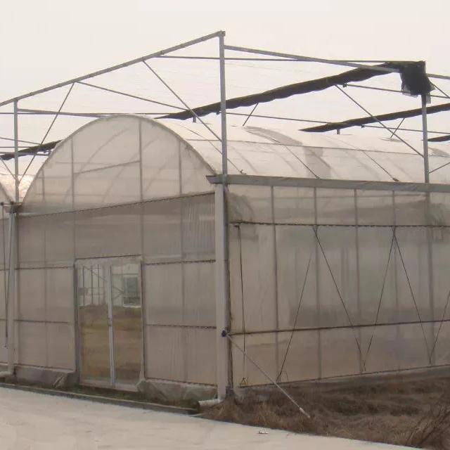 
large size multi span arch plastic film Greenhouse tomato greenhouse and strawberry greenhouse turnkey project 
