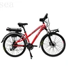 48V 250W electric bicycle/48V10AH ebike battery/48V12AH city ebike