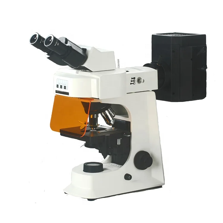 
fluorescent binocular microscope 