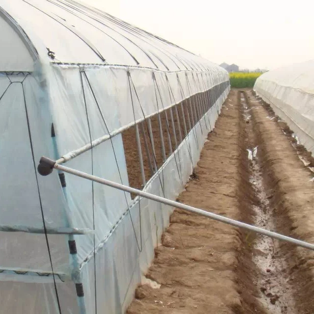 
2019 commercial plastic single span greenhouse tunnel used for agricultural 