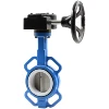 Wafer Style Butterfly Valve Plastic Boot Liner Alum Bronze Disc, 2"