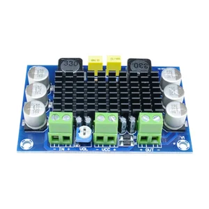 TPA3116DA 100W Mono Digital Audio Amplifier Board