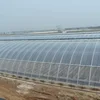 double layer plastic uv plastic PO/PE film solar greenhouse for agriculture