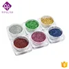 Cheap 6 colors factory wholesale nail art holo rainbow pigment powder two use