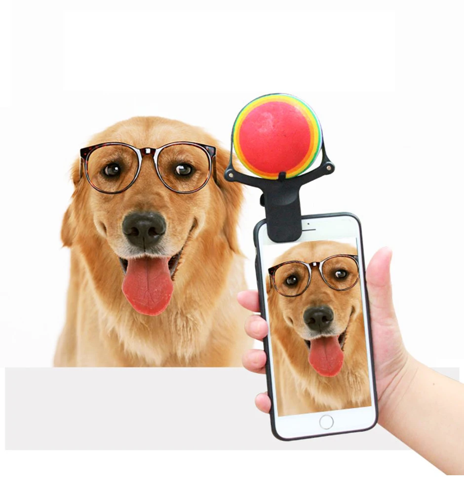 

New Design Dog Cat Pet Selfie Stick Rod Dog Cat Take Photos Training Toy Flower Phone Clip Selfie Clip, Chocolate,green