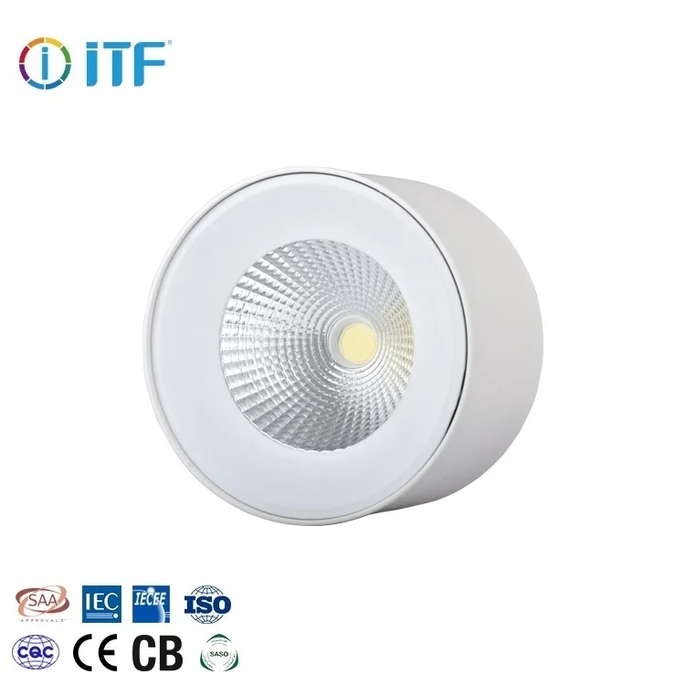 Low Price CE CB approved Suspended Surface Mounted LED Down light Ceiling Light