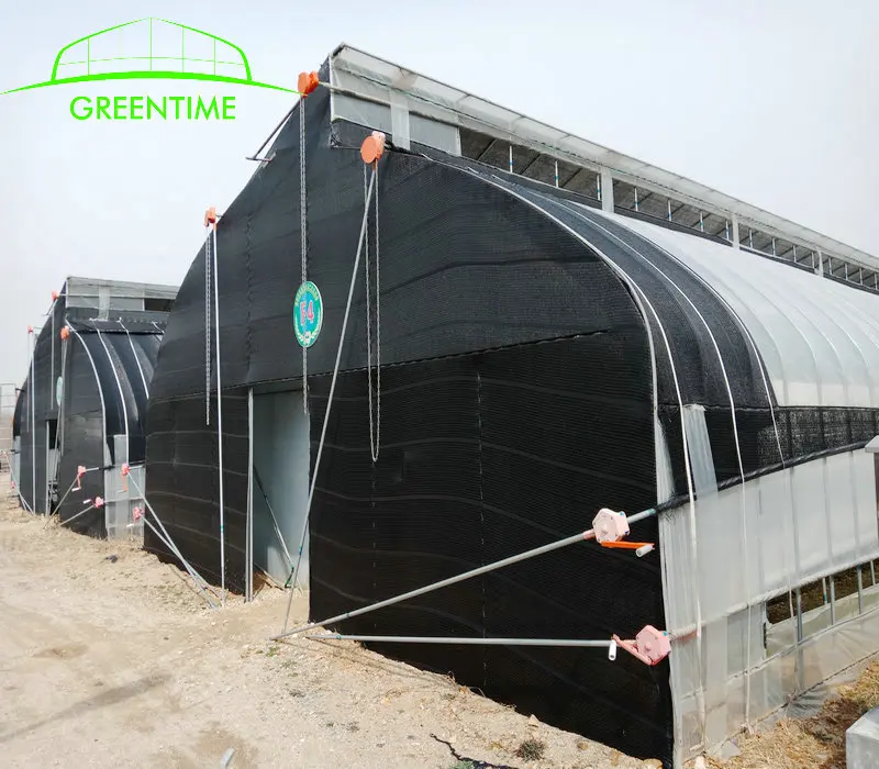 
Agricultural Mushroom Green House For Sale 