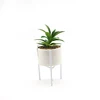 /product-detail/small-artificial-succulent-plants-pendant-arrangements-set-62102311375.html