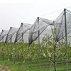 HDPE agricultural olive picking net