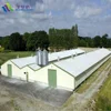 high quality light steel chicken farm building with custom design