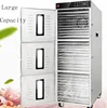 celery leaf and red onion celery leaf pumpkin chips 30 trays dehydrator
