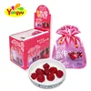 Chinese Preserved Fruits Sweet Preserved Cherry