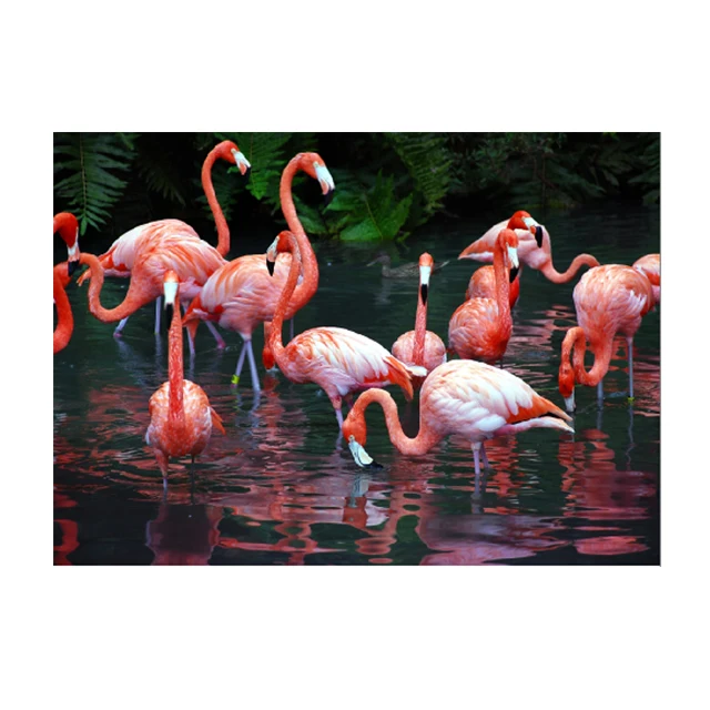 

Large format 3d lenticular printing poster with 50x70cm
