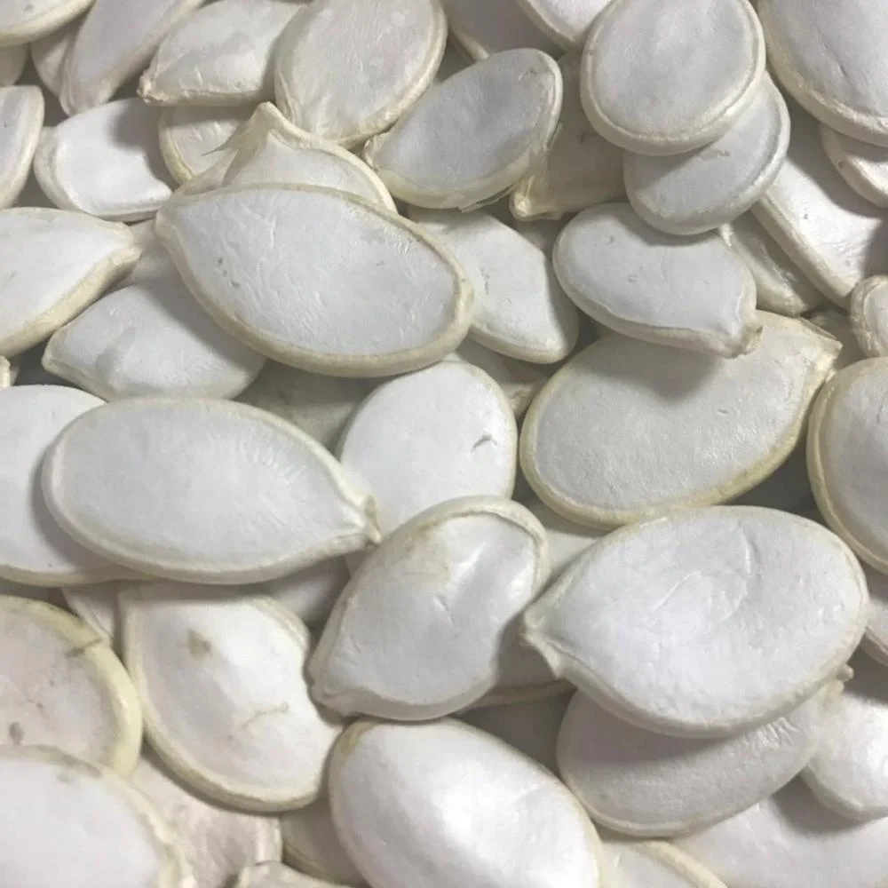 
Roasted and salted pumpkin seeds, nice taste, top quality 