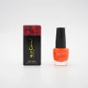 Fast Drying Acrylic Dip Powder Nails System color match nail polish