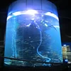 acrylic aquarium fish tank,acrylic Cylindrical Aquarium