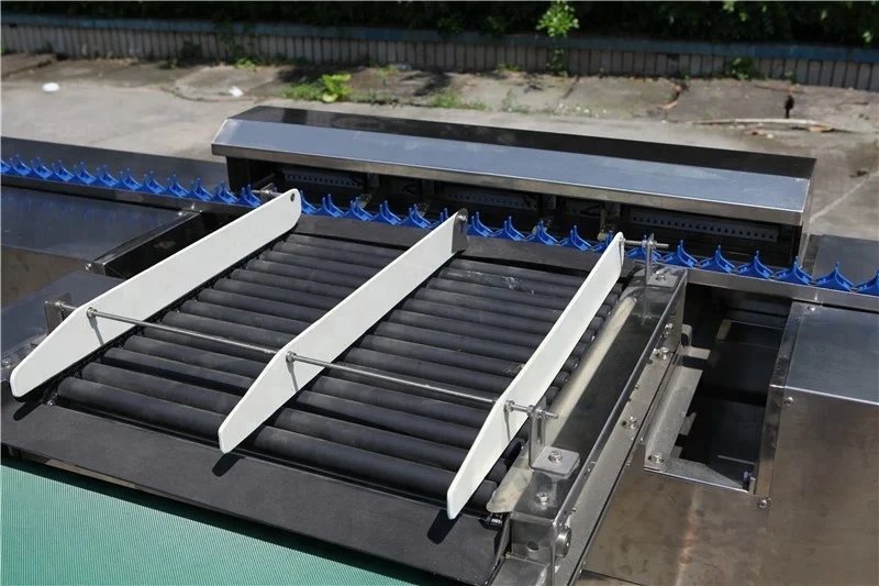 
ZENYER 104B egg grading sorting machine with vacuum egg lifter 