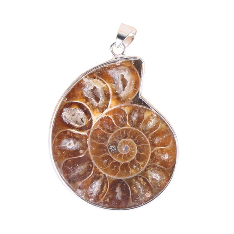 

Ammonite Fossils Conch Pendant Agate Slices Charms Pendants for Making Necklace Jewelry Wholesale, As photos