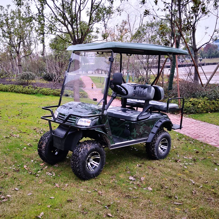 
off road gas or electric beach buggy 