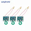 Light Sensor Activated Recordable book Sound module Gift for Gift Box Music Box