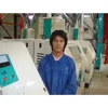 commercial wheat mill plant for making bread flour