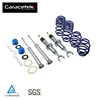 Caracetek Rally Automotive Suspension Coilover Racing Shocks