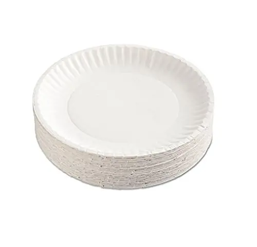 License Party Melamine Paper Plate 